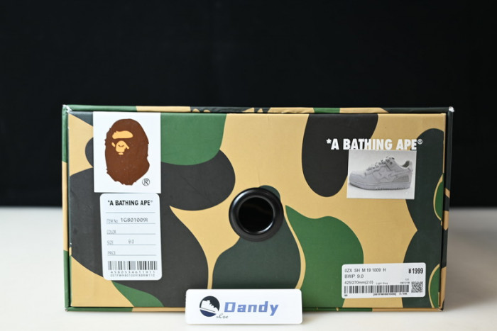 BAPE Shoe